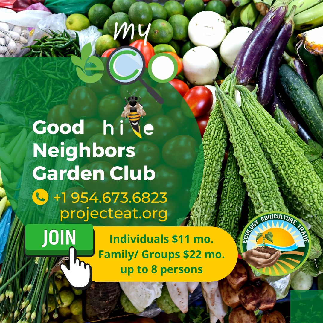 EAT Good Neighbors Garden Club @ My Eco Hive Redland, FL